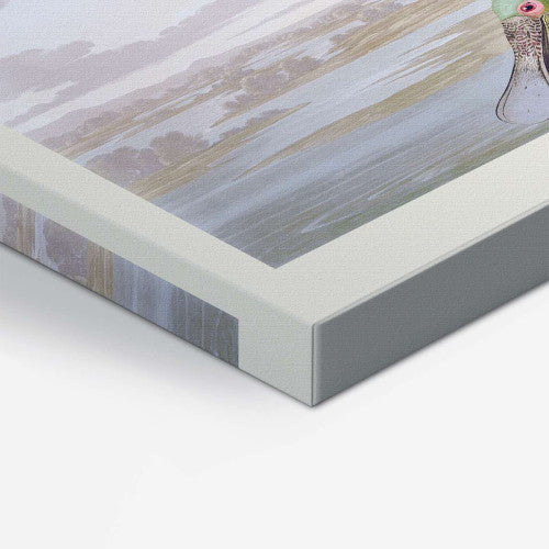 Vintage Bird 08 Animal Canvas