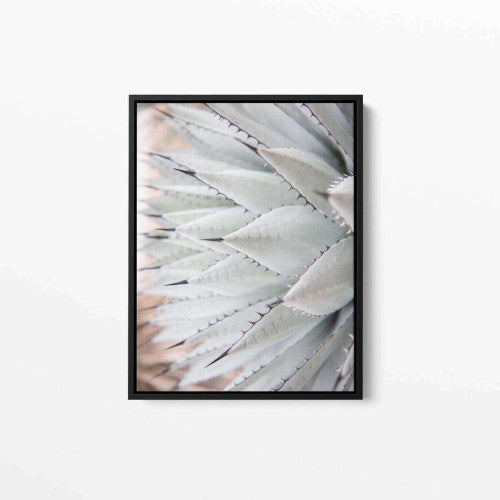 White Agave Plant 001 Nature Canvas