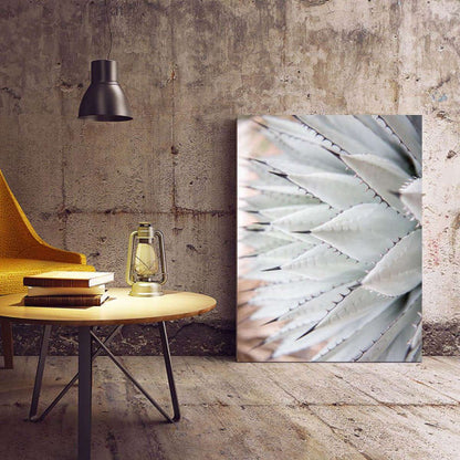 White Agave Plant 001 Nature Canvas