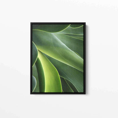 Green Palm Plant 002 Nature Canvas