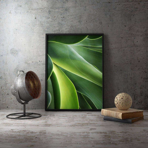 Green Palm Plant 002 Nature Canvas