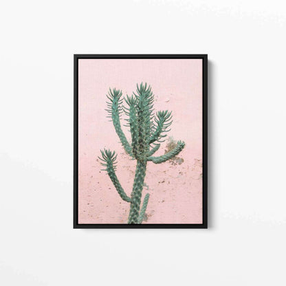 Pink Cactus Tropical Canvas