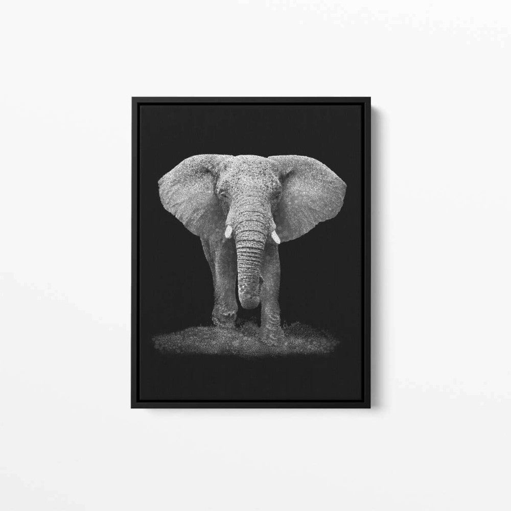 Elephant Confetti Animal Canvas