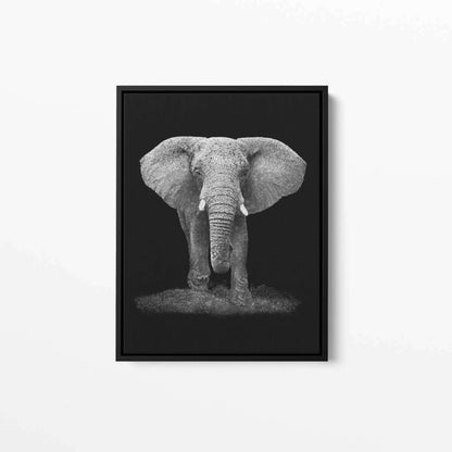 Elephant Confetti Animal Canvas