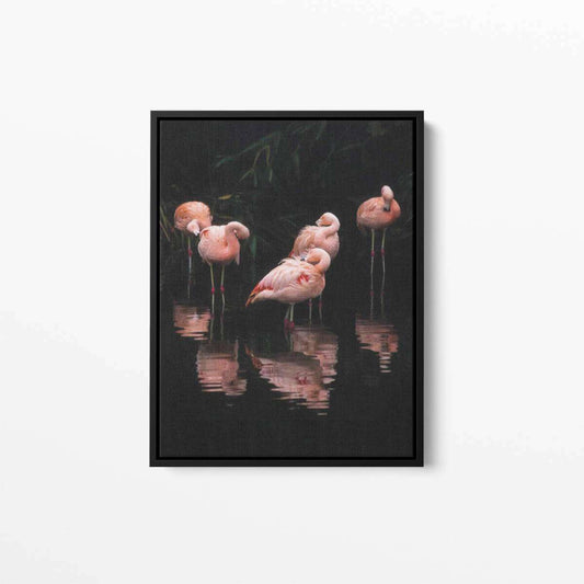 Flamingos in the dark Canvas