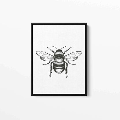 Bee Insect Animal Nature Art Canvas