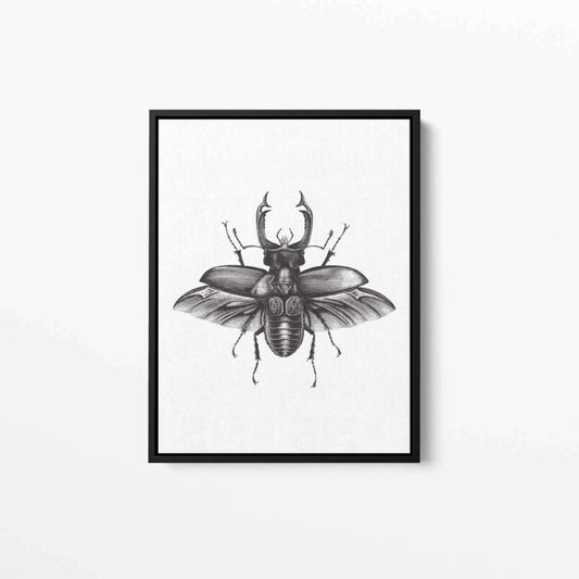 Beetle Insect Animal Nature Art Canvas