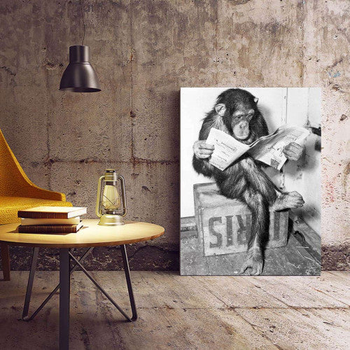 Monkey Reading Canvas