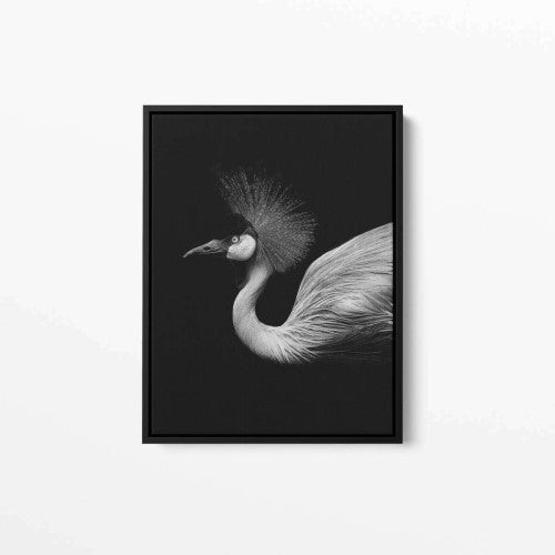 Tropical Bird Photography Canvas