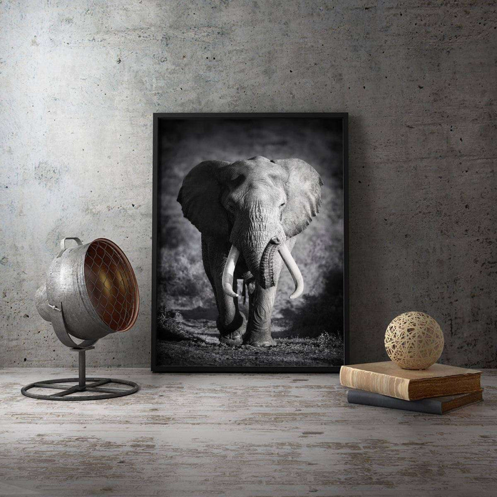 Elephant Photography Canvas