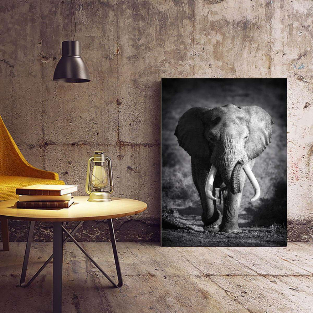 Elephant Photography Canvas