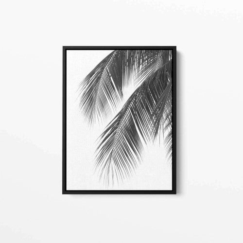 Palm Tree Photo 01 Canvas