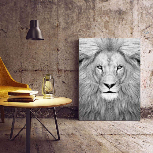 Lion Canvas