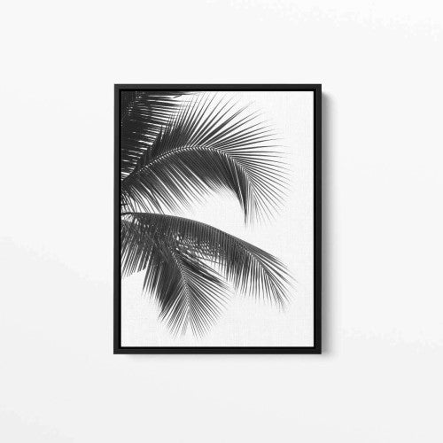 Palm Tree Photo 02 Canvas