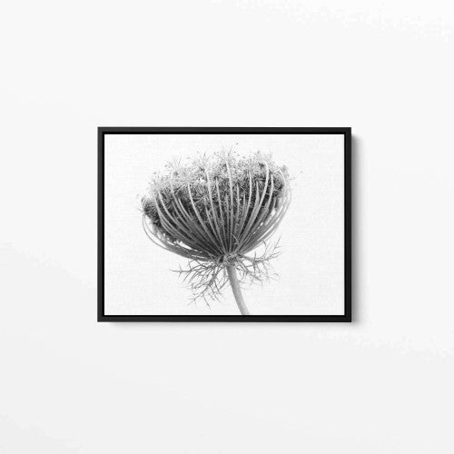 Plant Photography Canvas