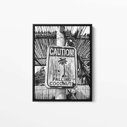 Falling Coconuts Canvas