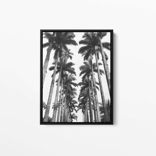 Palm Trees Canvas