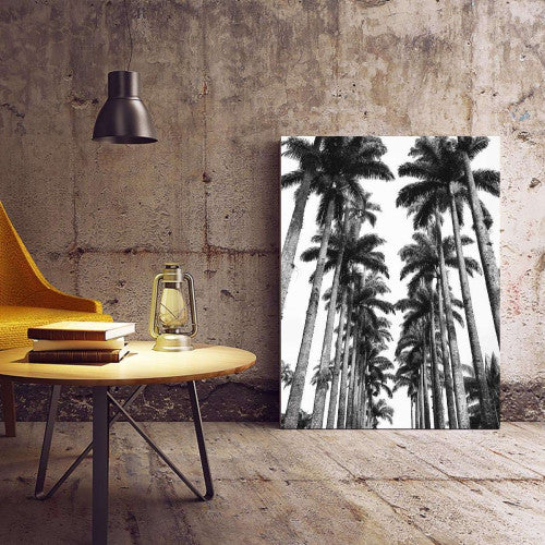 Palm Trees Canvas