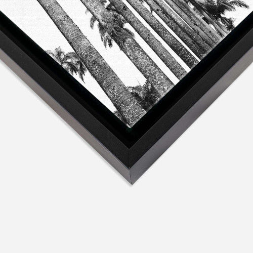 Palm Trees Canvas