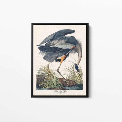 Vintage Bird 03 Animal Canvas