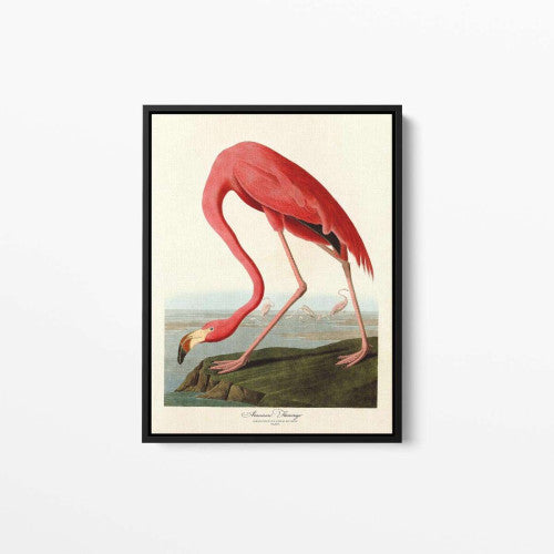 Vintage Bird 04 Animal Canvas