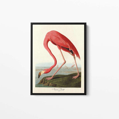 Vintage Bird 04 Animal Canvas