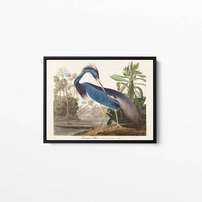 Vintage Bird 05 Animal Canvas