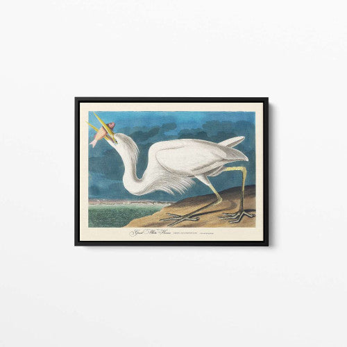 Vintage Bird 06 Animal Canvas