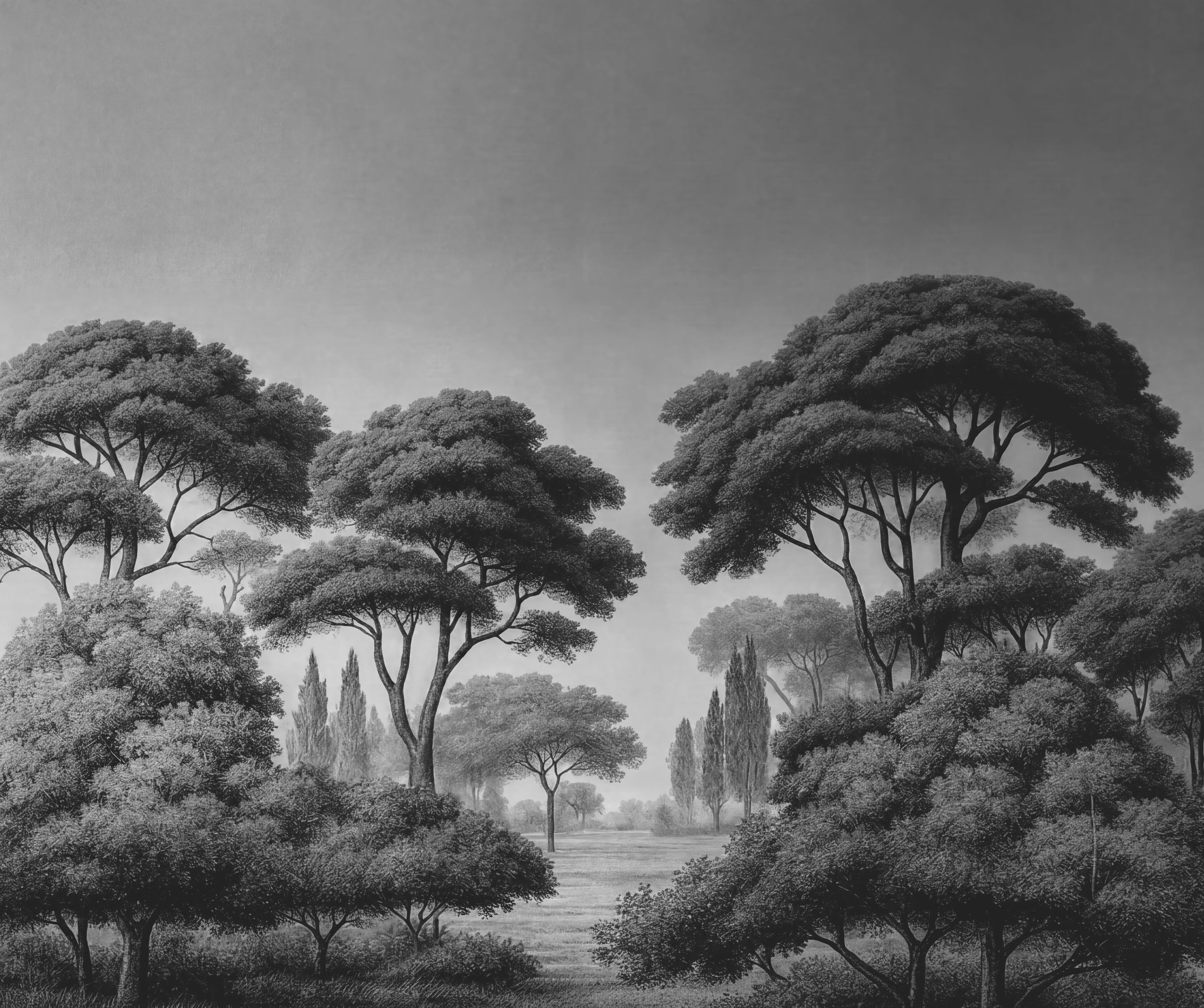 African Savanna Forest Sketch Wallpaper