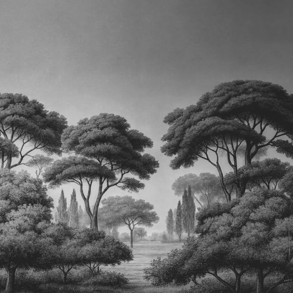 African Savanna Forest Sketch Wallpaper